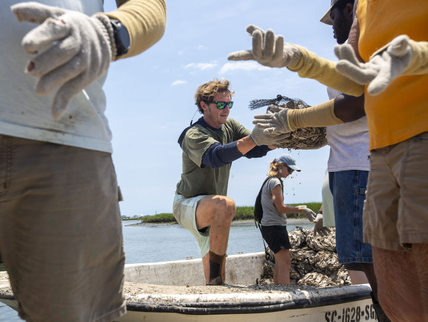 Recycled shells provide home for new oysters along SC coast while reducing erosion